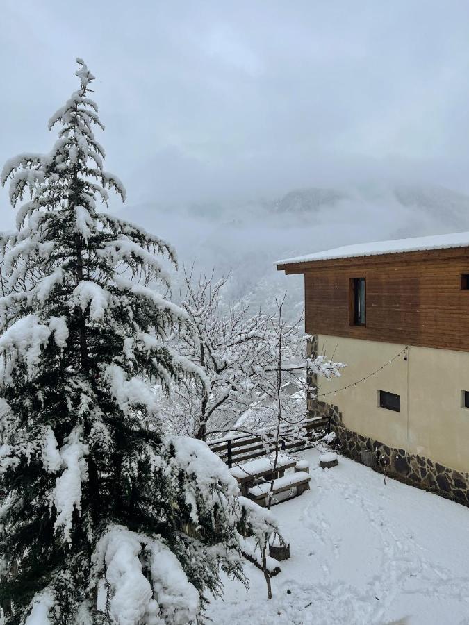 Guest House On Meskheti Borjomi Bagian luar foto