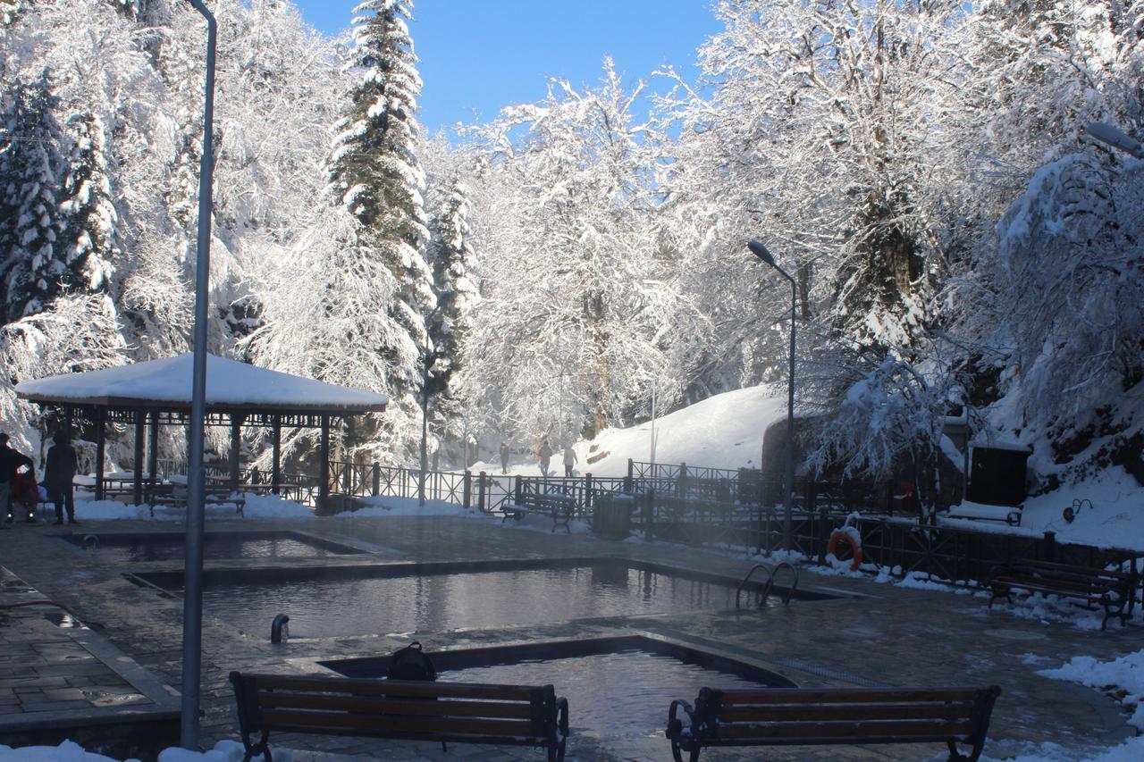 Guest House On Meskheti Borjomi Bagian luar foto